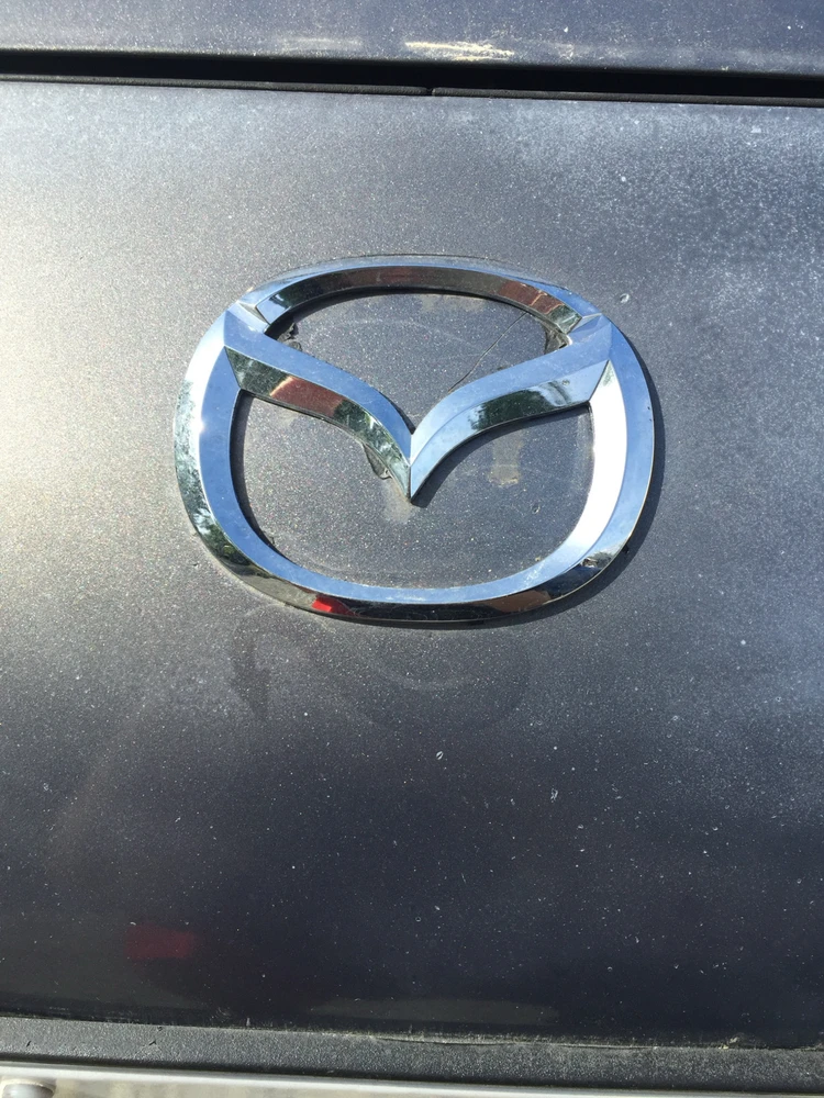 Image uploaded by Chris