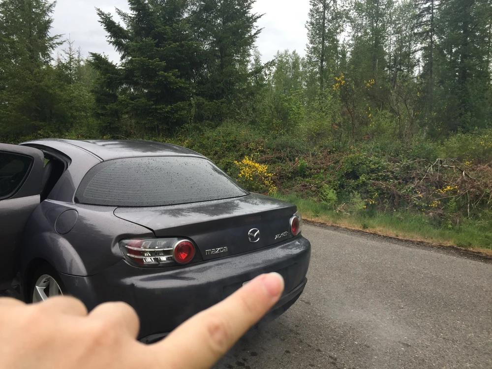 Image uploaded by Chris