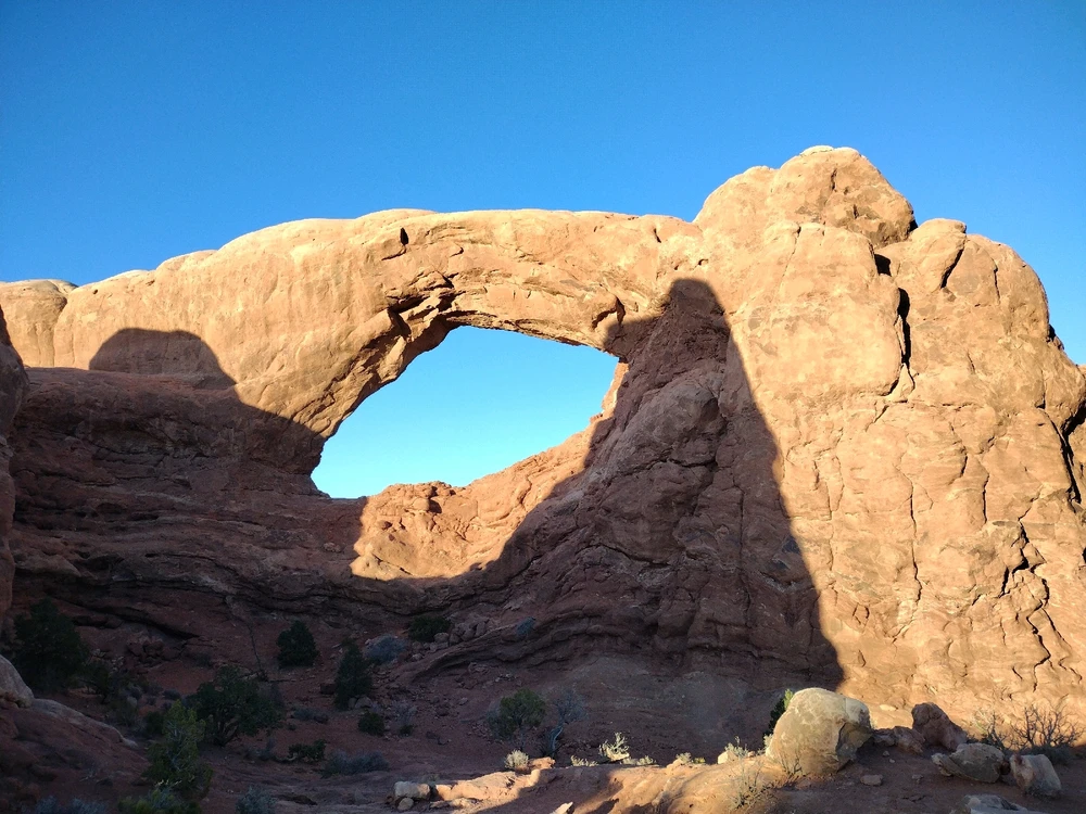 Image uploaded by Thomas