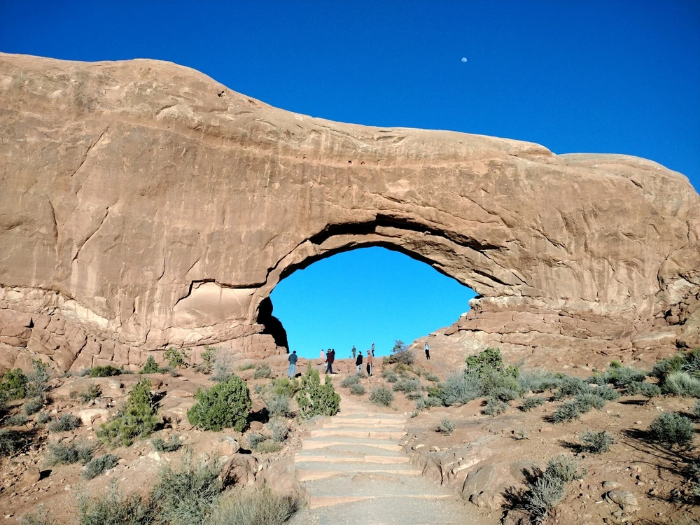 Image uploaded by Thomas