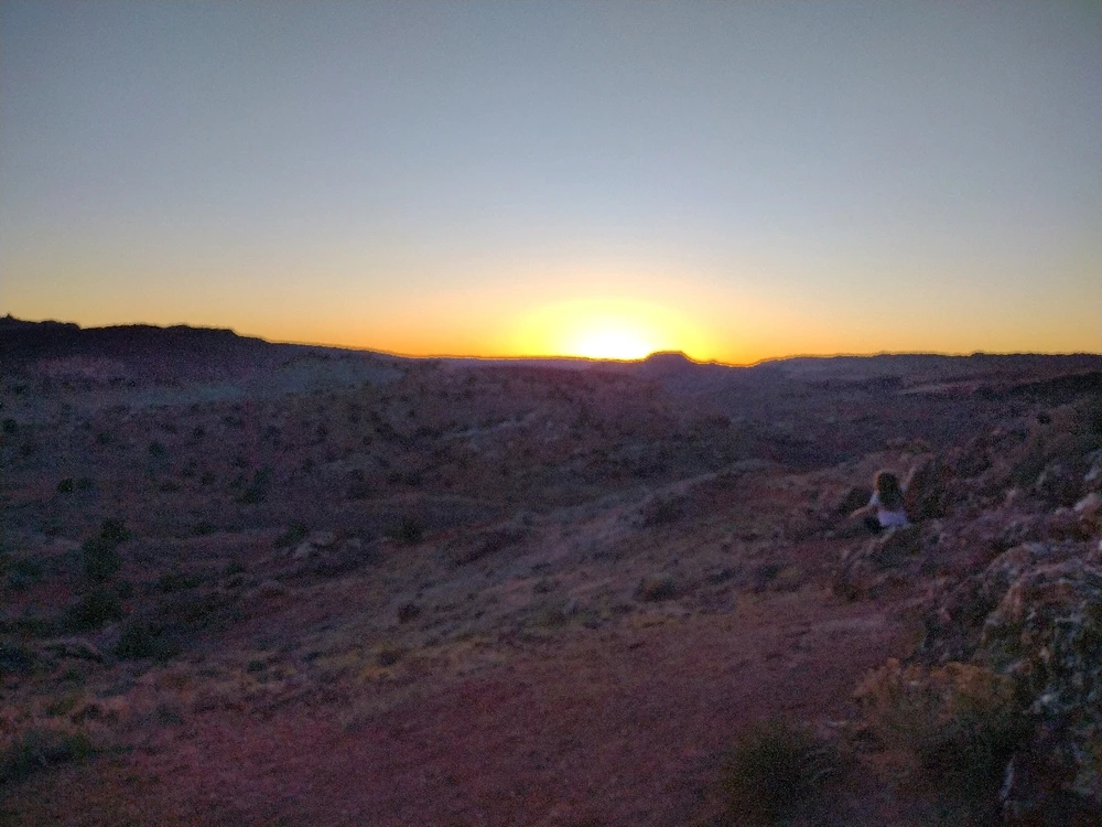 Image uploaded by Thomas