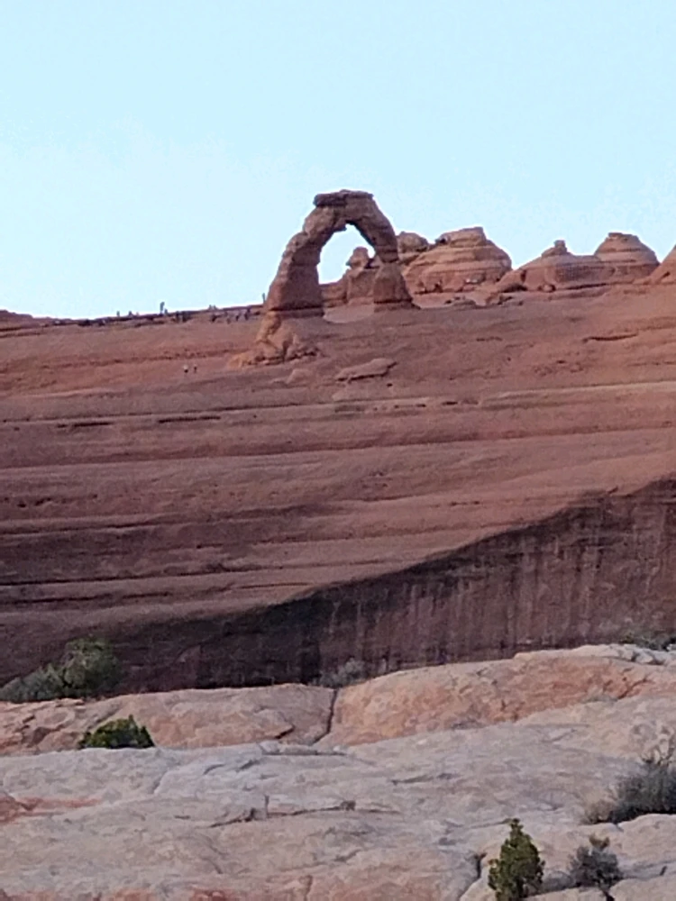 Image uploaded by Thomas