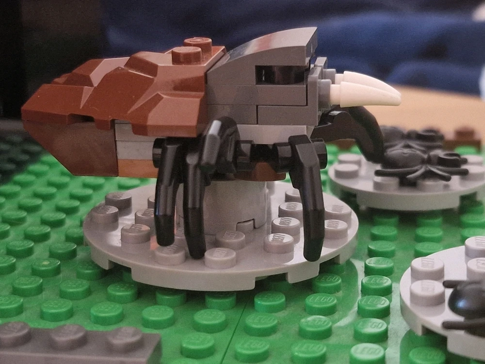 Tamás által feltöltött kép