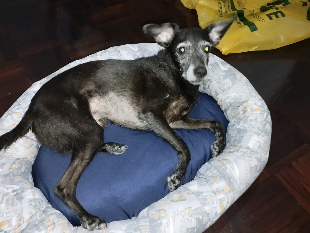 GIF enviado por Fabio