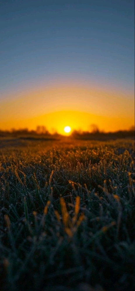 GIF uploaded by Joji