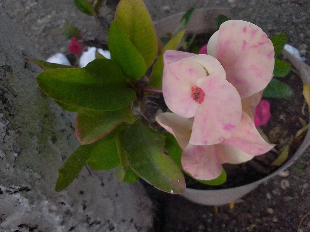 Imagen subida por Leslie