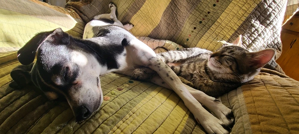 GIF uploaded by Heather