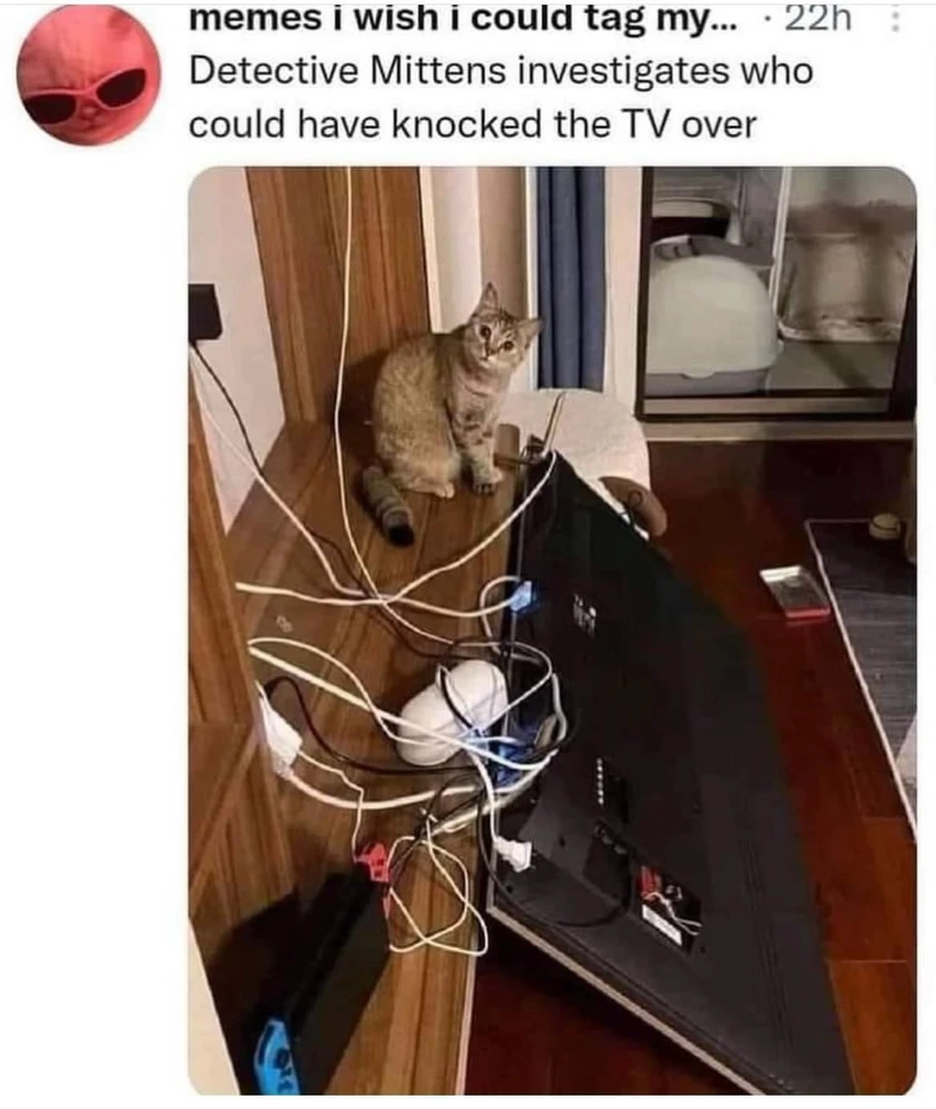 GIF hochgeladen von Ron