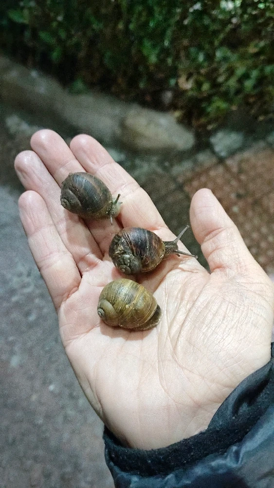 DianaがアップロードしたGIF