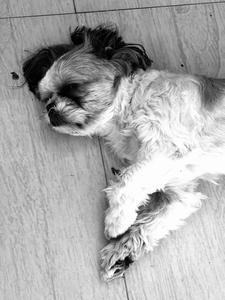 Jubin അപ്‌ലോഡ് ചെയ്ത GIF