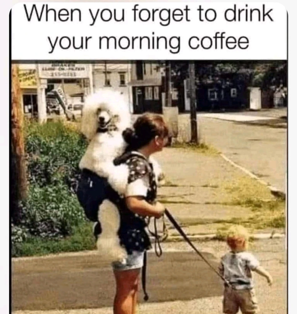 GIF uploaded by SuSu