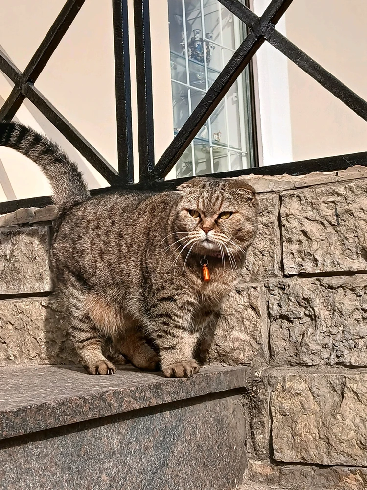 Фото загрузил Катя