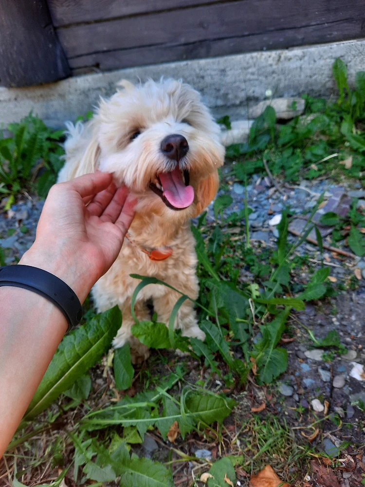 Фото загрузил Катя