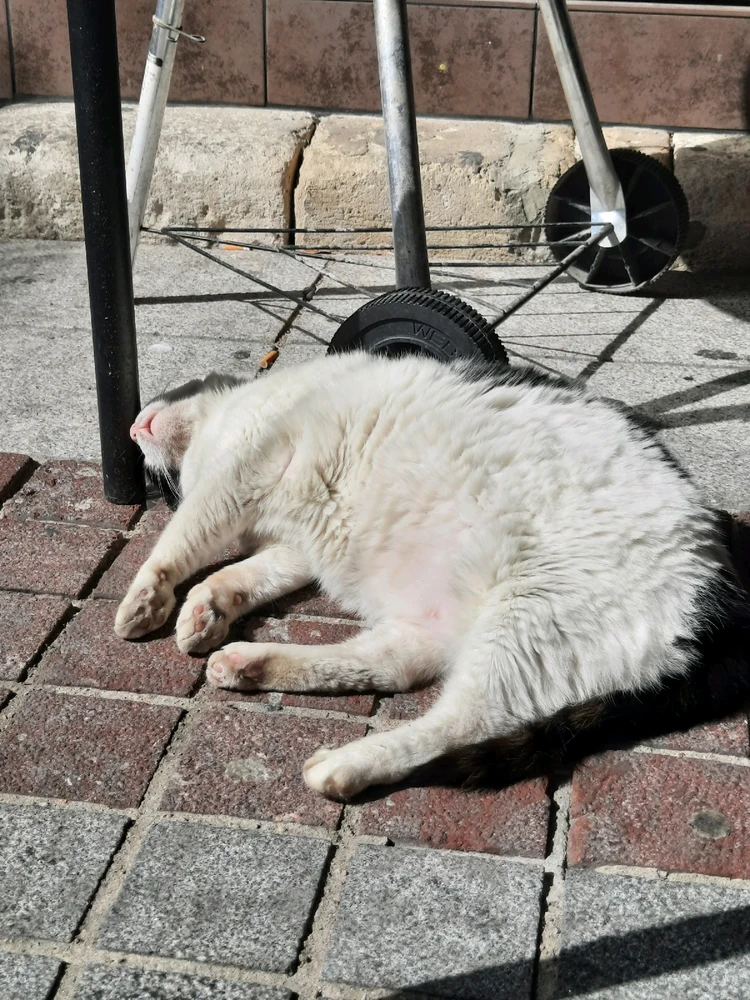 Фото загрузил Катя