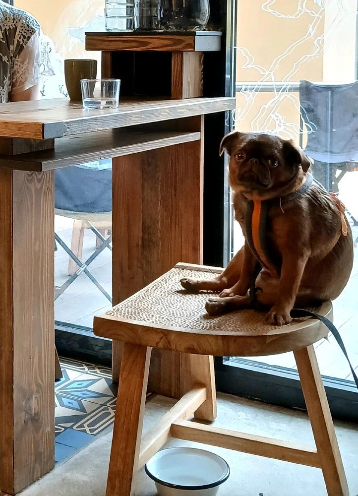 Фото загрузил Катя