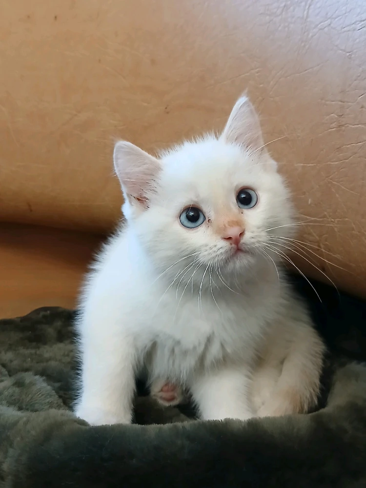 Фото загрузил Катя