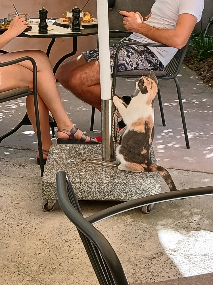 Фото загрузил Катя