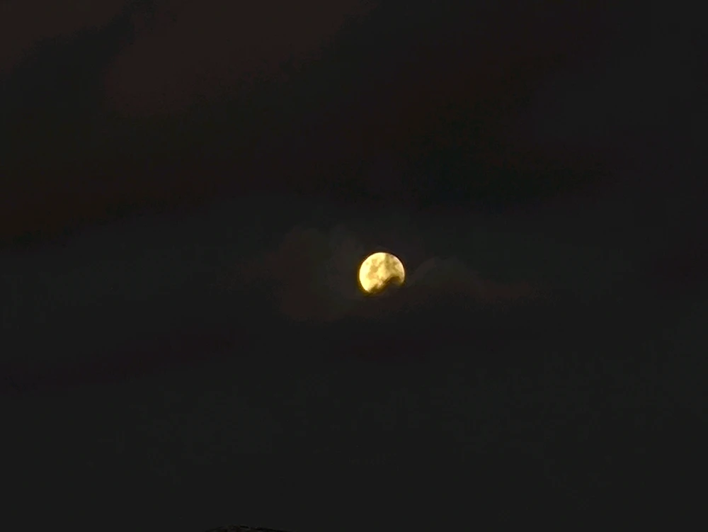 Imagem enviada por Miguel