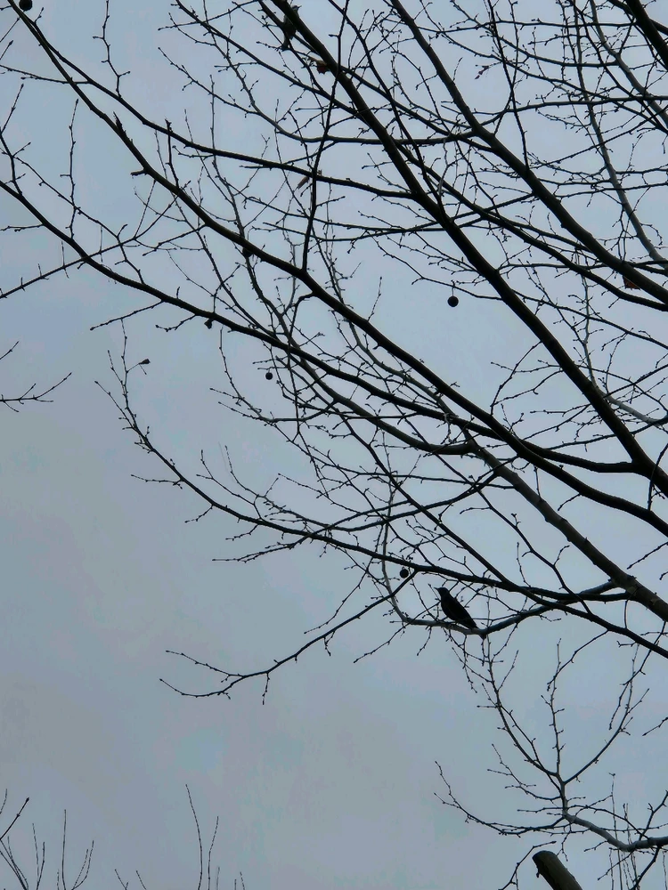 Immagine caricata da Elisa