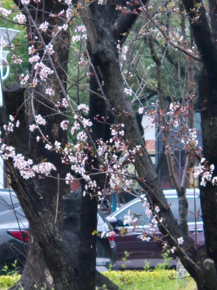 Immagine caricata da Elisa