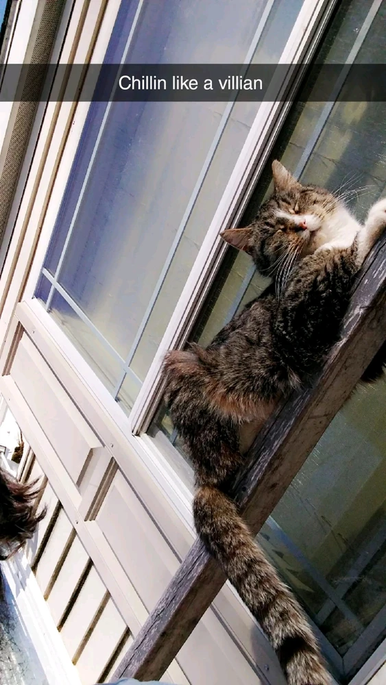 GIF uploaded by Nick