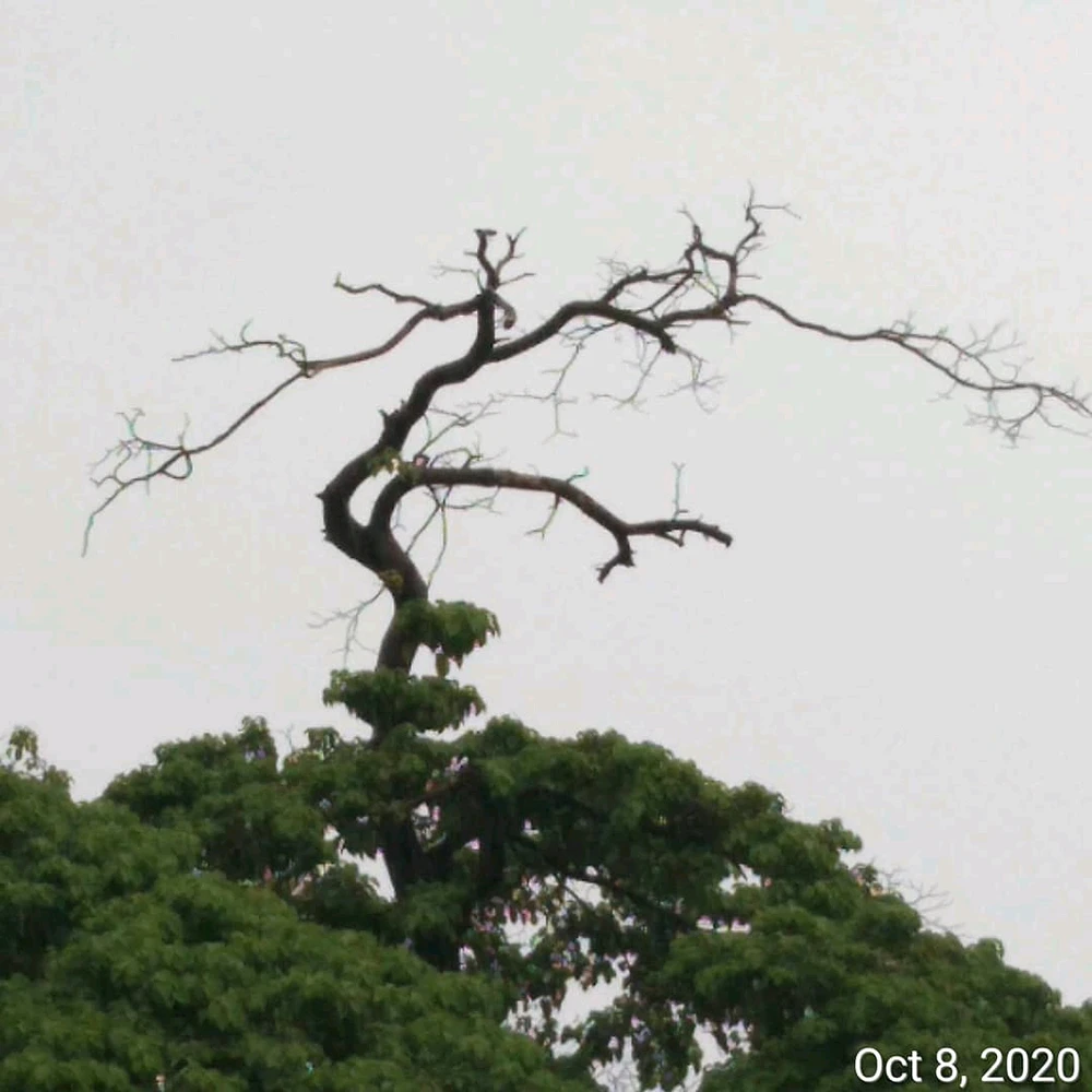 Image uploaded by Moa