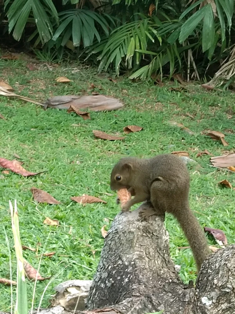 Image uploaded by Moa