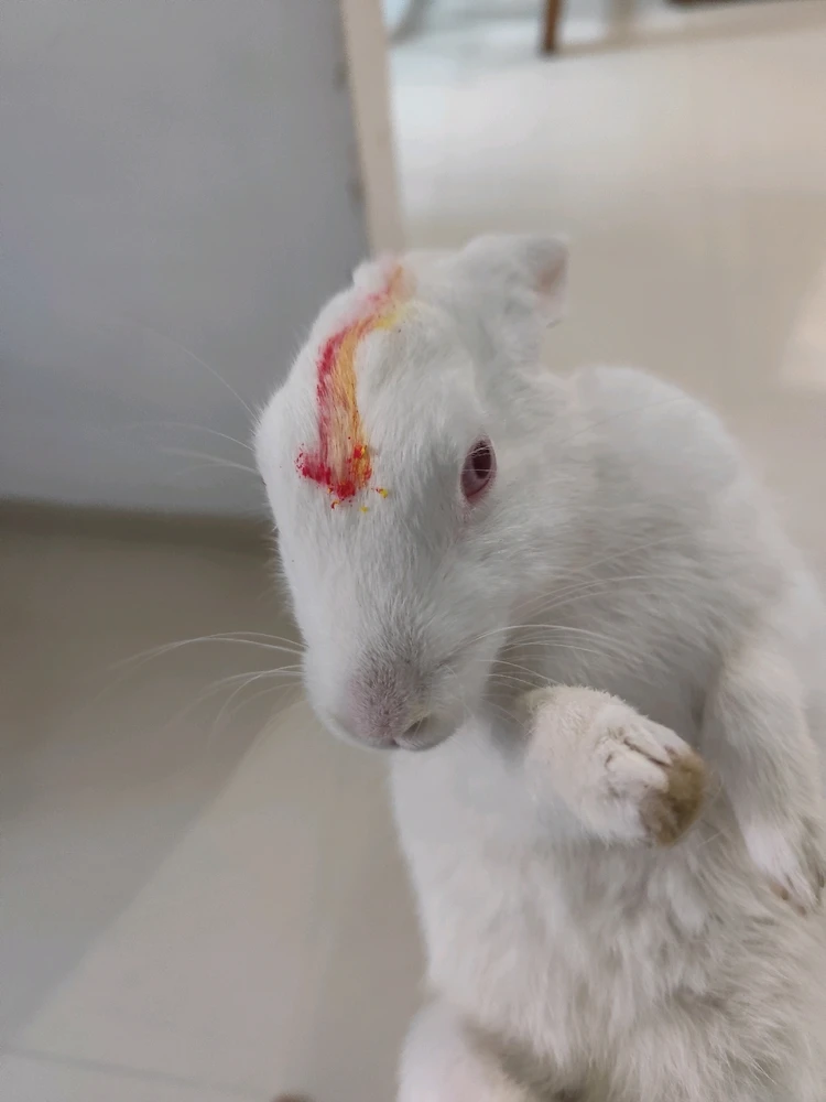 Image uploaded by Mr. Aashiish