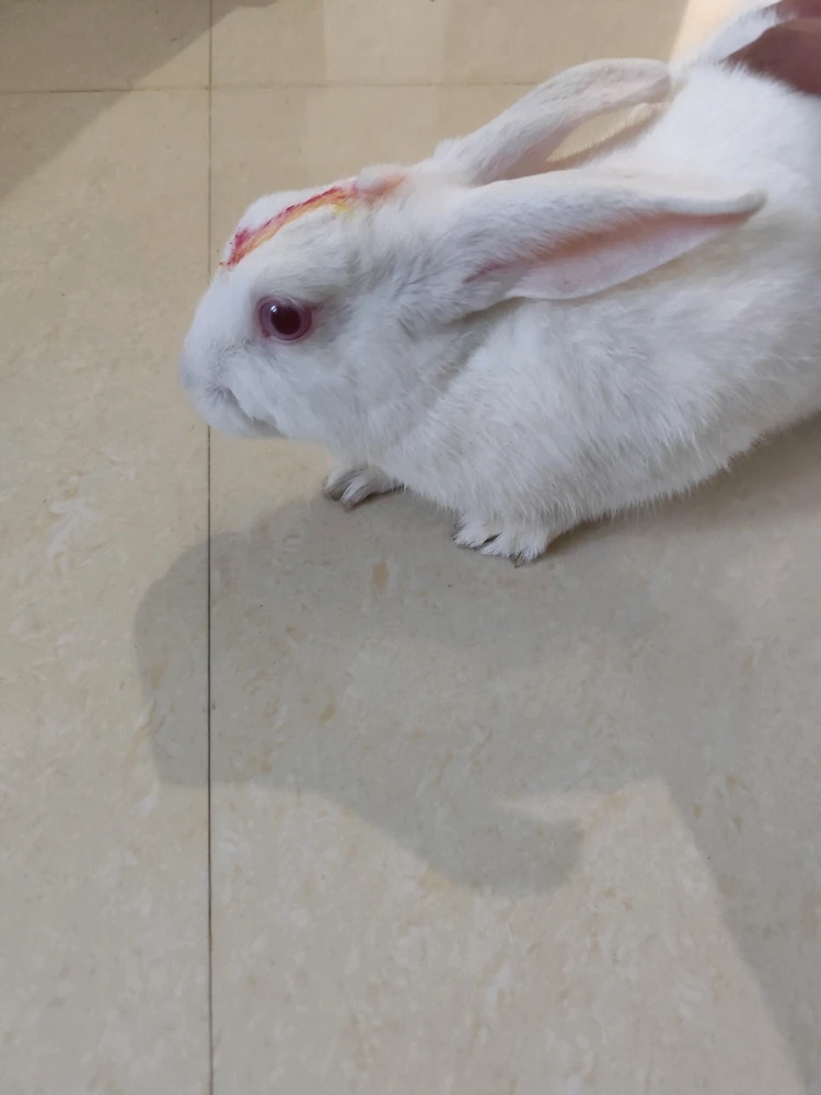 Image uploaded by Mr. Aashiish