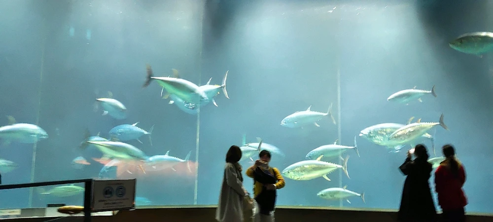 Image uploaded by アーカー