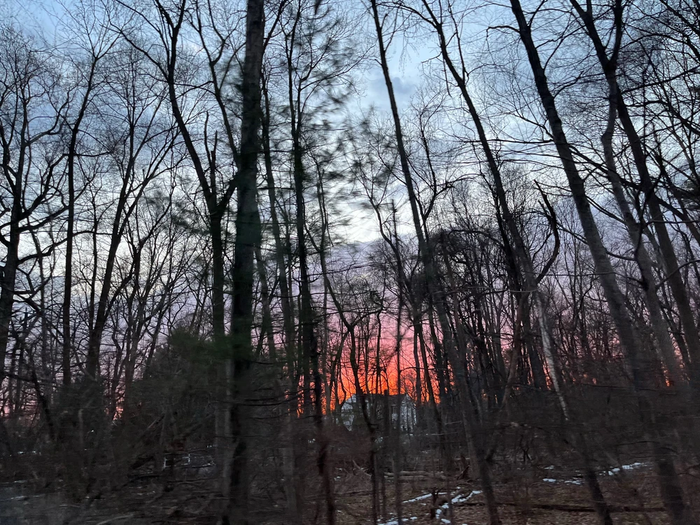 GIF uploaded by Asger