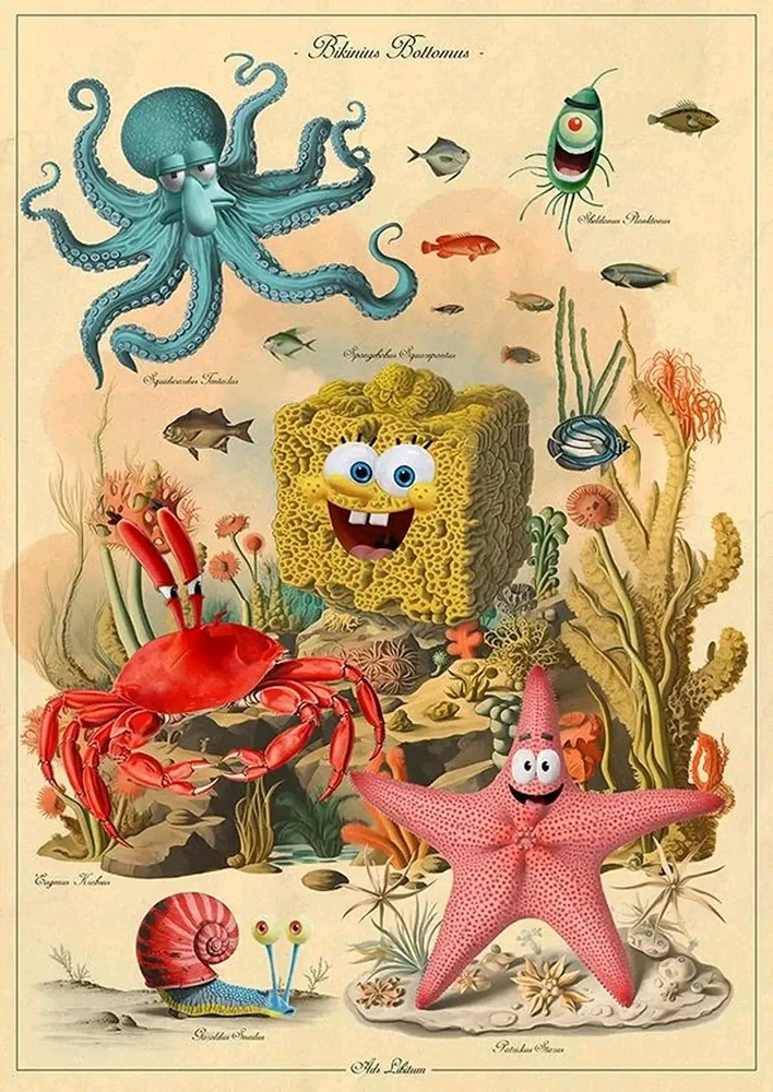 Image ajoutée par Stef