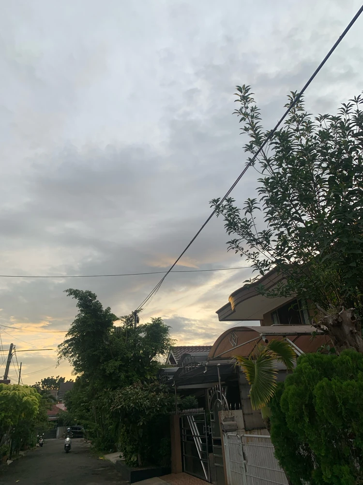 Image uploaded by Lala