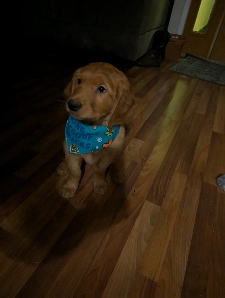GIF uploaded by Sky
