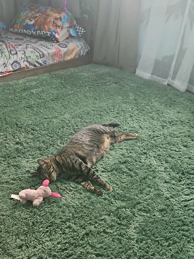 GIF uploaded by Kathy