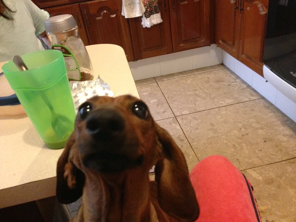 GIF subido por Salvador