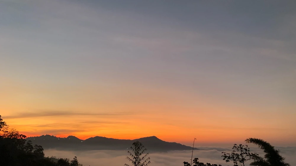 GIF subido por Daniel