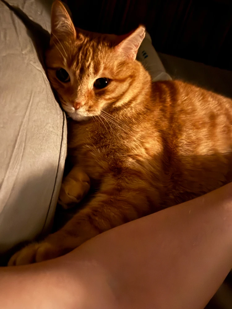 GIF uploaded by Sarah