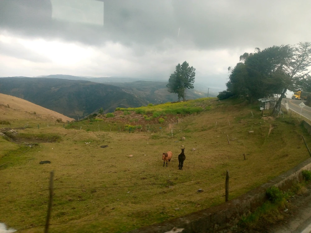 GIF uploaded by Eliomar