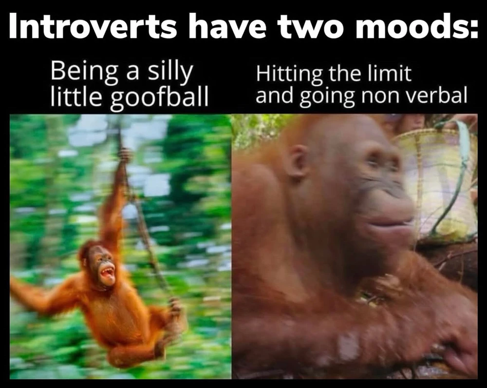 Obrázek nahrál Irónia