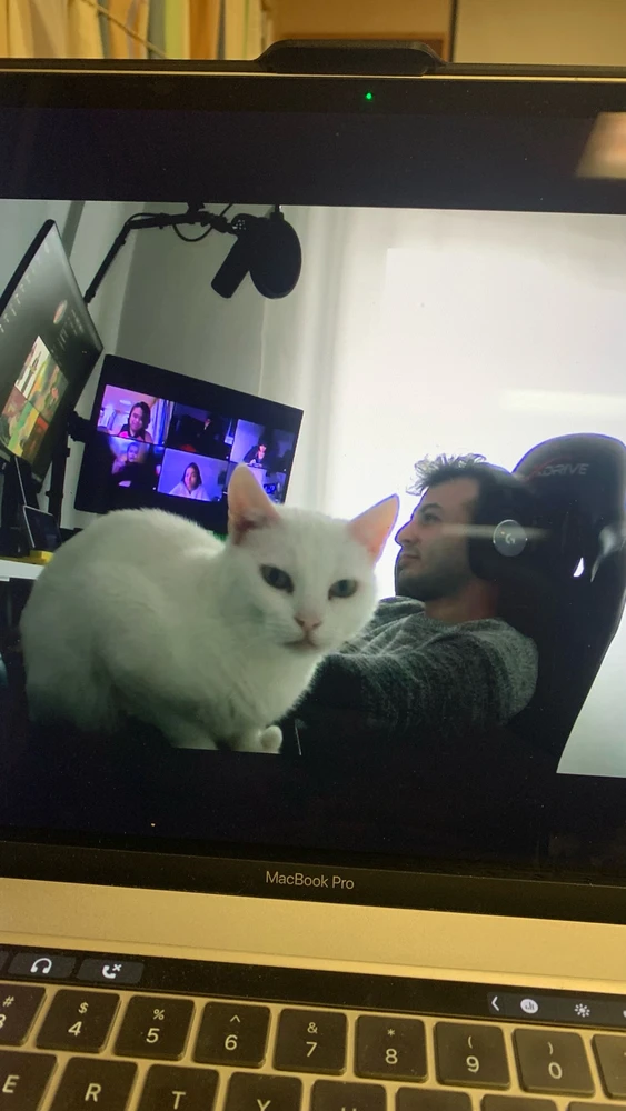 GIF uploaded by Argea