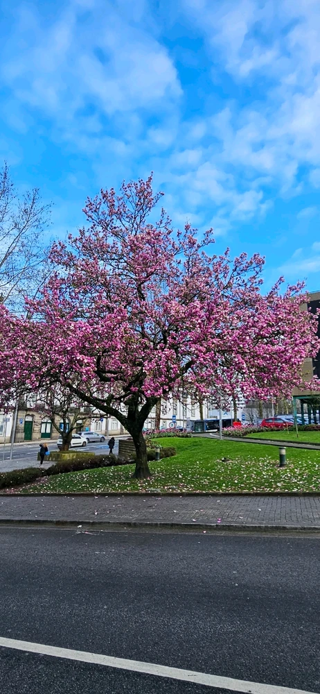 GIF dodany przez Dominik