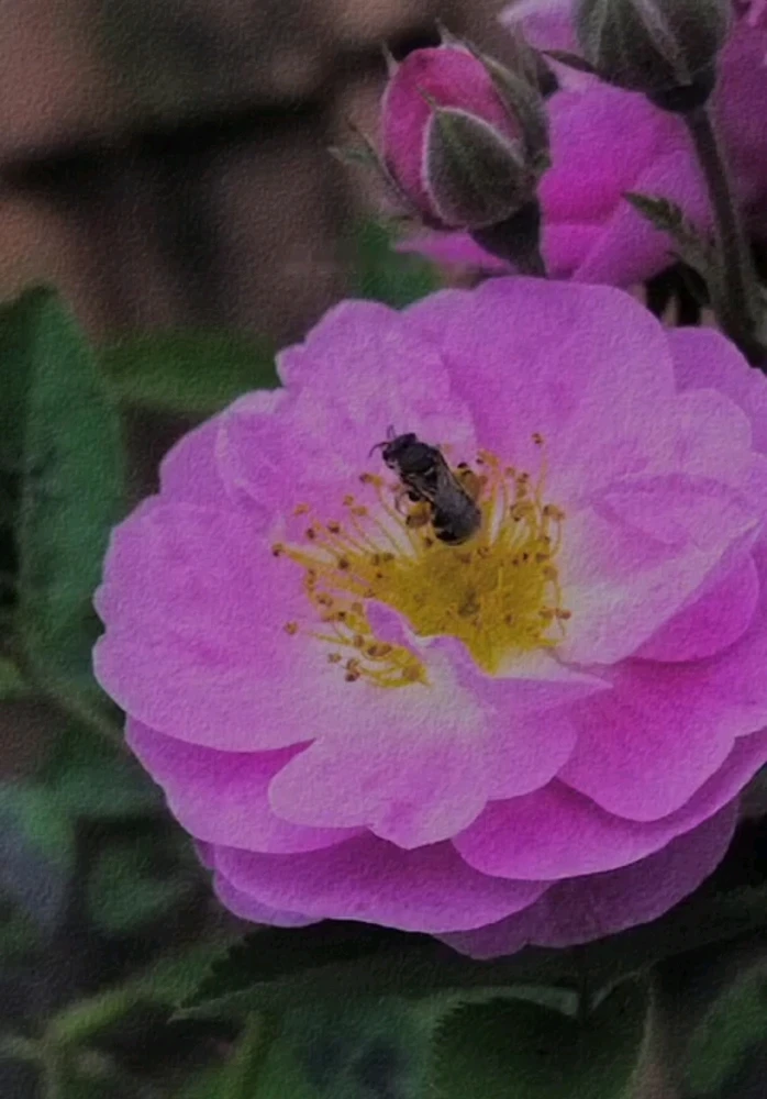 GIF uploaded by ꦮꦤꦶꦱꦃ