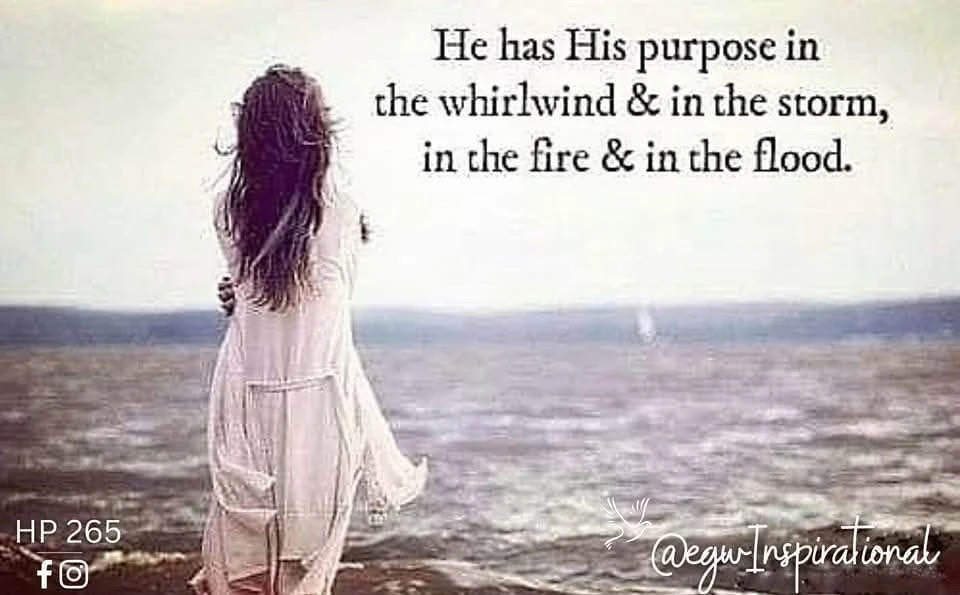 GIF uploaded by Gentle Giant