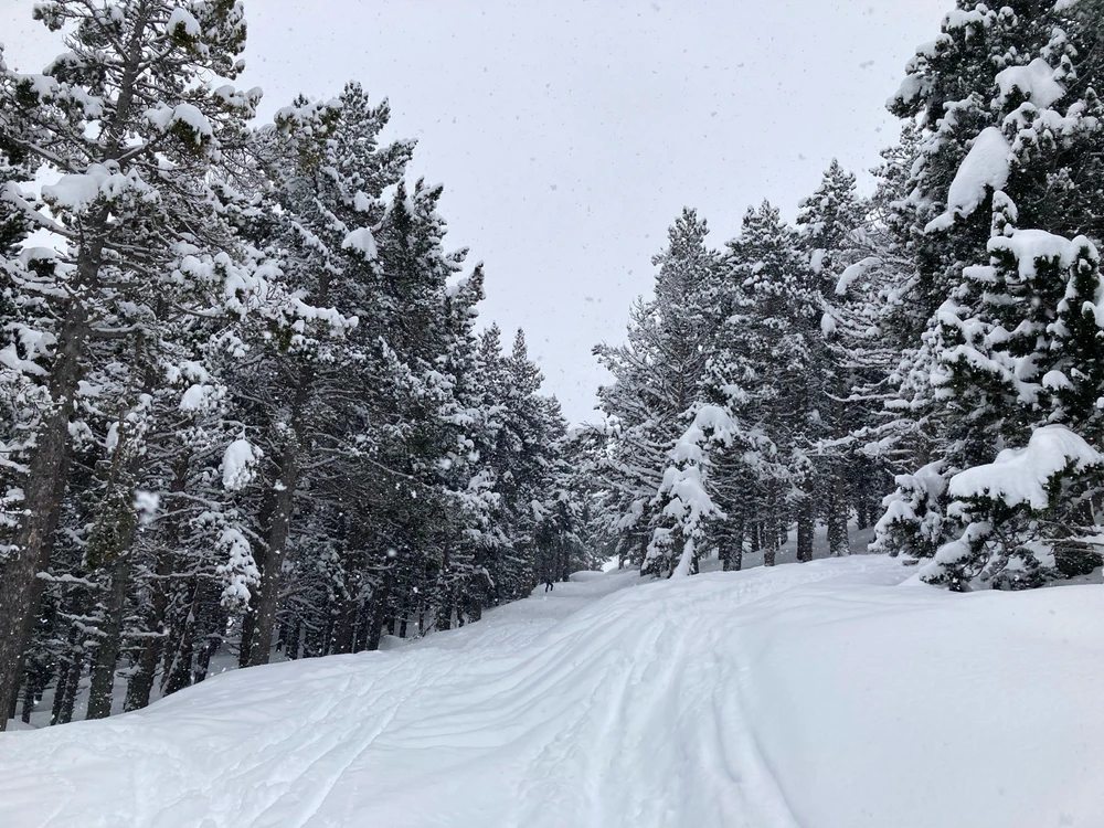 Imagen subida por Rodrigo