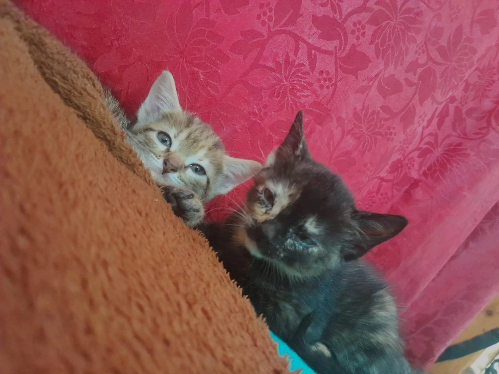 Imagen subida por Carlos