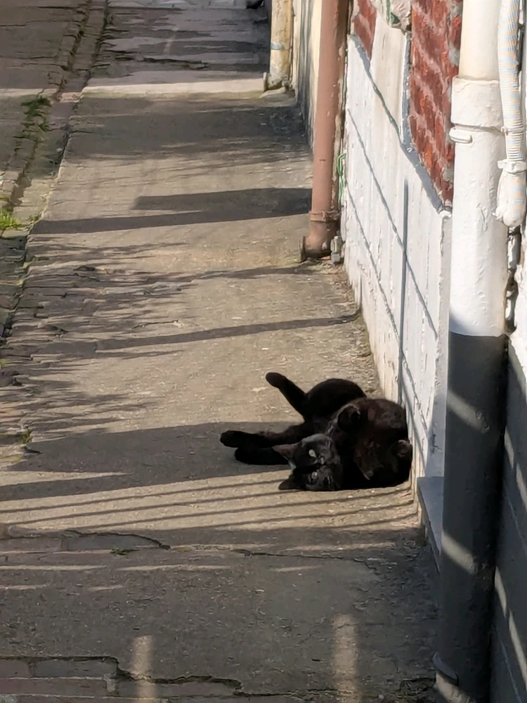 Image ajoutée par Kevin