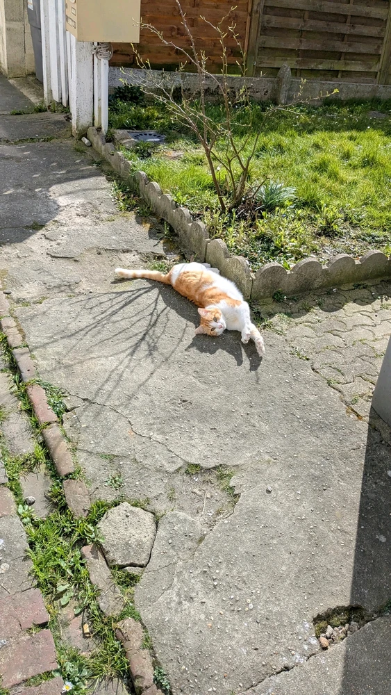 Image ajoutée par Kevin