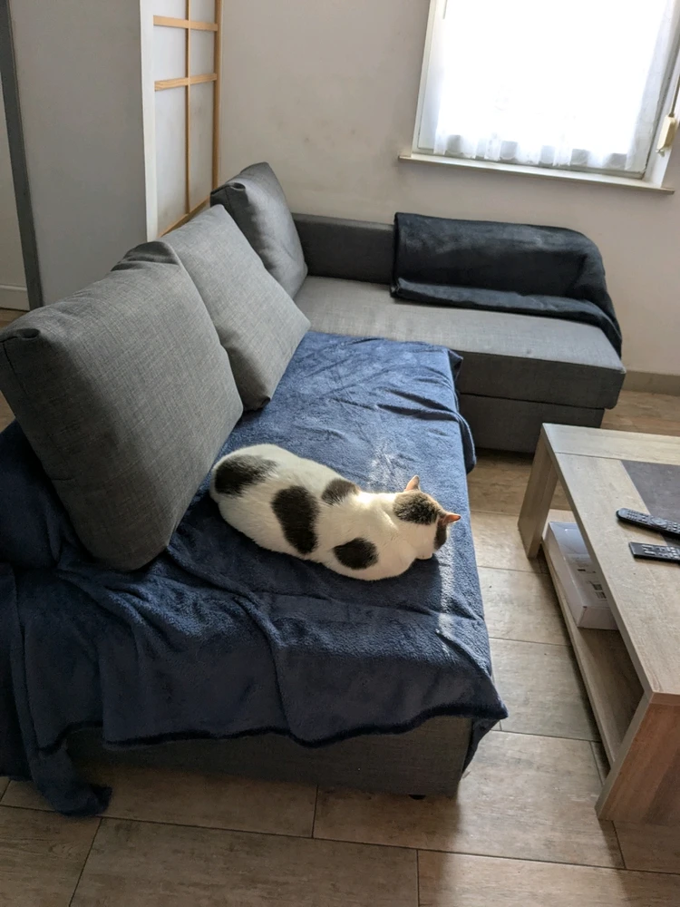 Image ajoutée par Kevin