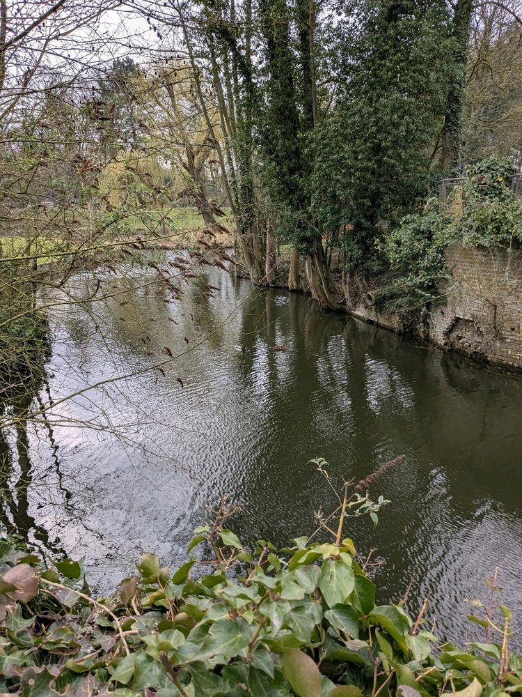 Image ajoutée par Kevin